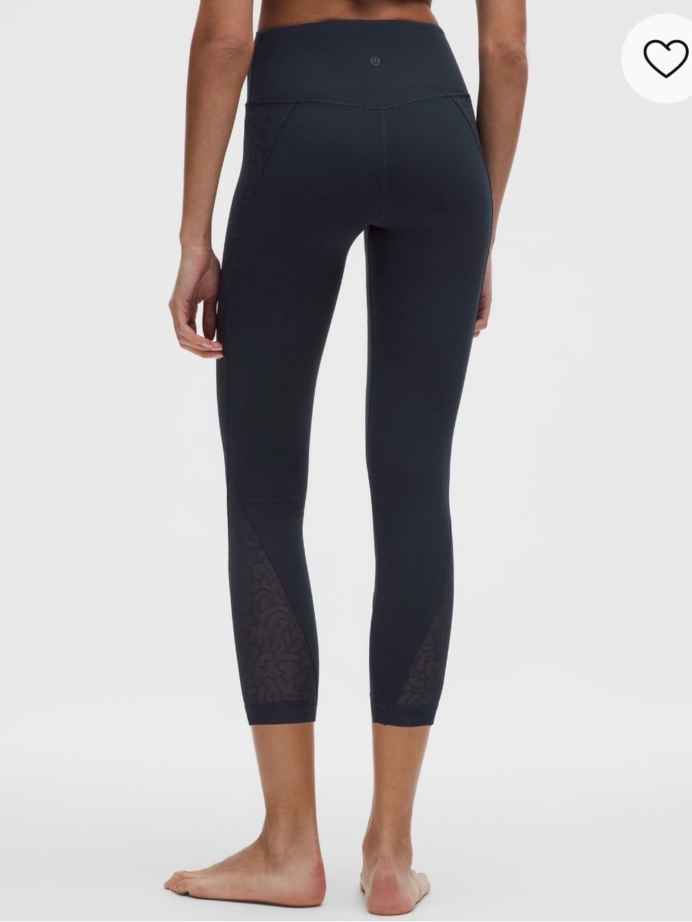 Paisley Lace Overlay Tight 25"